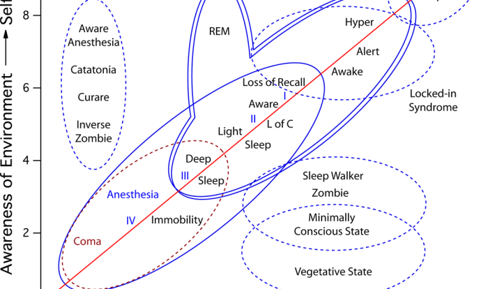 Ap psychology states of consciousness