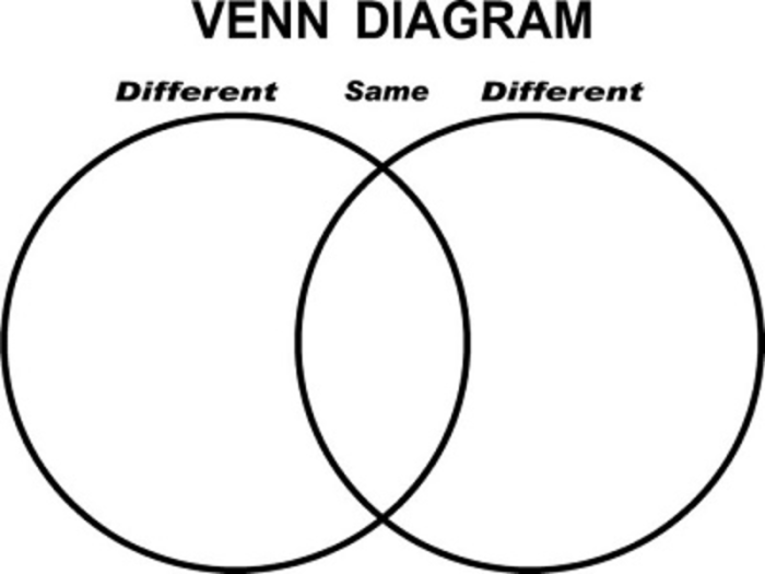 Graphic organizer for similarities and differences