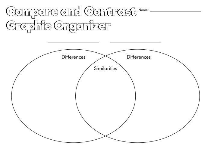 Graphic organizer for similarities and differences