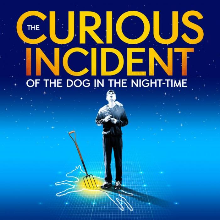 Quotes the curious incident of the dog in the nighttime