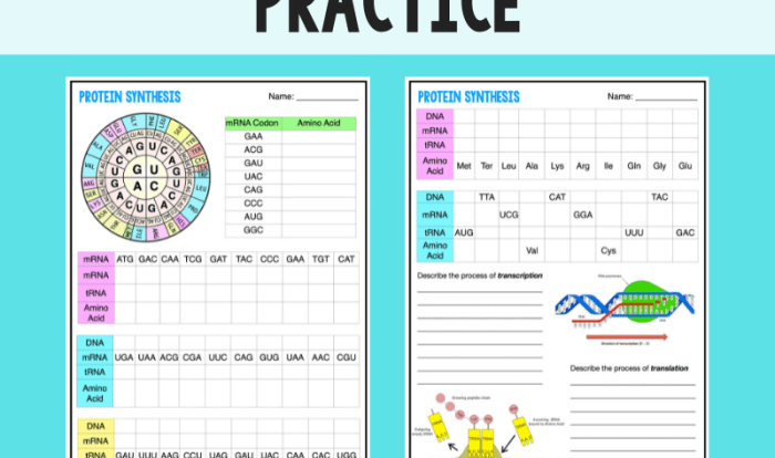 Protein synthesis practice 1 worksheet answer key