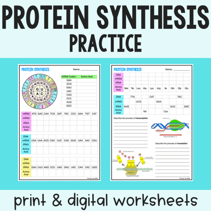 Protein synthesis practice 1 worksheet answer key