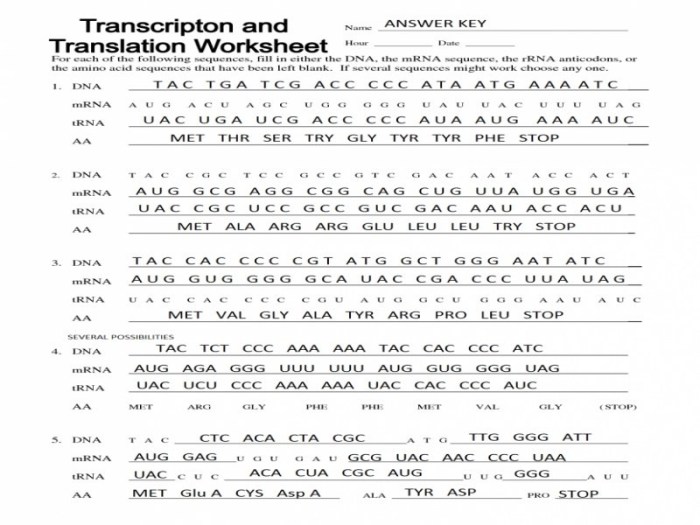 Protein synthesis practice 1 worksheet answer key